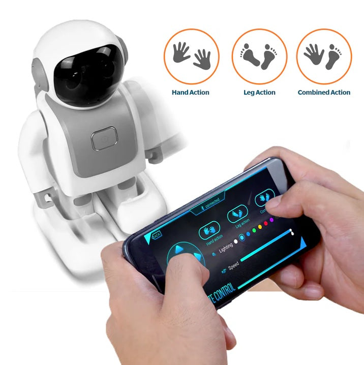 Dancing Robert: Interactive Companion Robot
